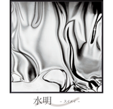 Mysterious Stainless Mirror. ミステリアスステンレスミラー