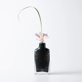 Bottle S ボトルS