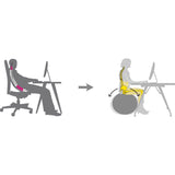 Wellness Ball™ Active Sitting ウェルネスボールアクティブシッティング