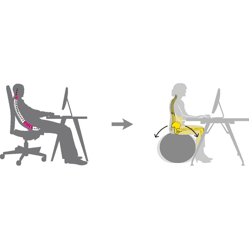 Wellness Ball™ Active Sitting ウェルネスボールアクティブシッティング