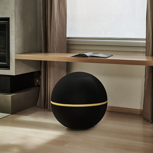 Wellness Ball™ Active Sitting ウェルネスボールアクティブ Wellness Ball™ Active Sitting ウェルネスボールアクティブ